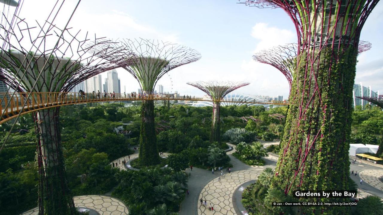 Diamond Hotel Singapur Dış mekan fotoğraf